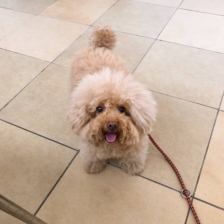 398a0b04 af26 42c6 ae44 a4c90381a780 1558602234514