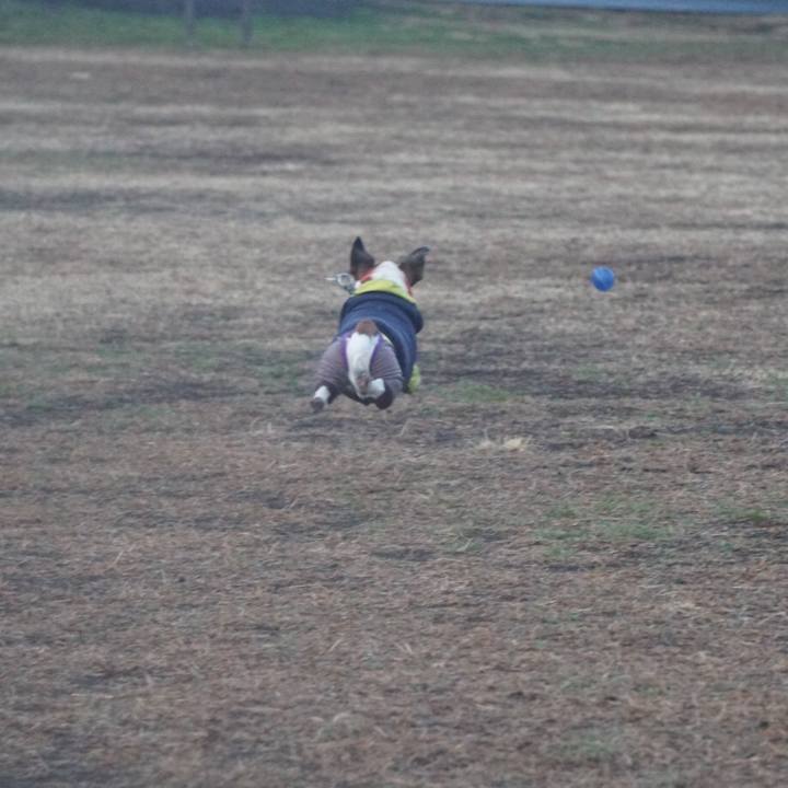 398a17d1 e5b7 4f60 a7dc 99adab10e227 1611703438394