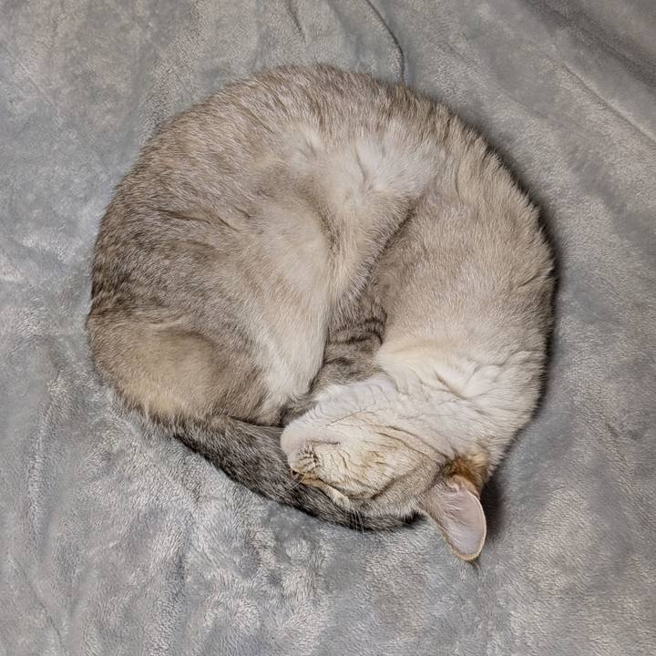 398a3365 00a4 4e50 96a9 e15302a42a9c 1769433702021