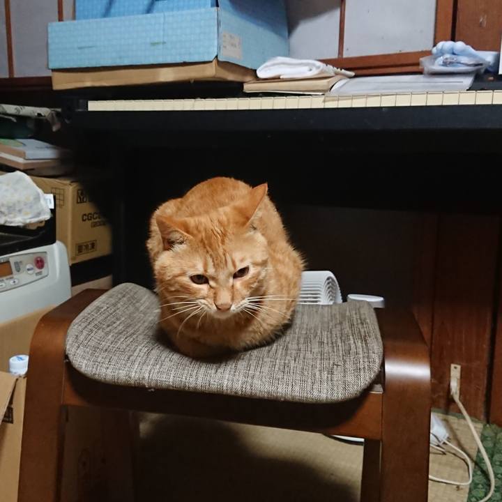 398a3bed be25 4cda 8c19 2a13ae4fa07a 1663103344494