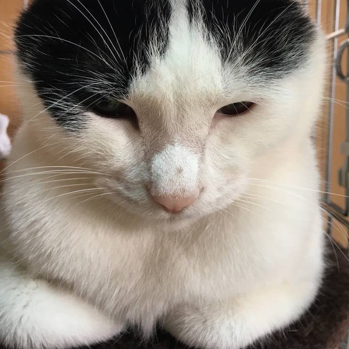 398aa068 bb35 4e4c a2ee 0ce080e9f098 1530449480041