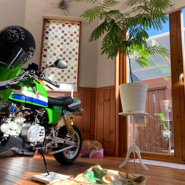 398ad00d 1314 48da 81d5 247ff05d1504 1667454851901