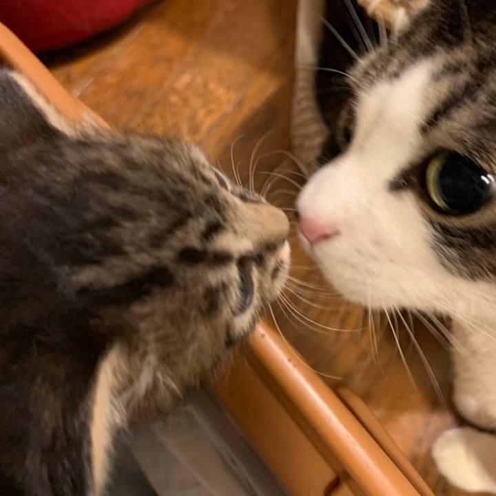 398ad0c8 2a60 4bd2 bc6f 2b18c971270a 1588216162120