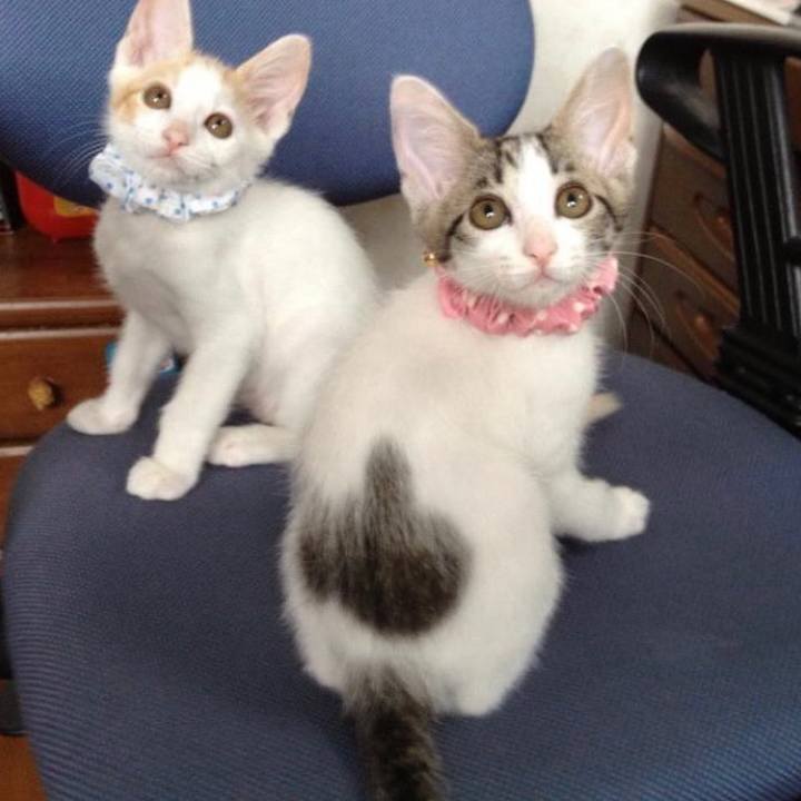 398ae947 527e 49ba a00b d18a8978c117 1643200087316