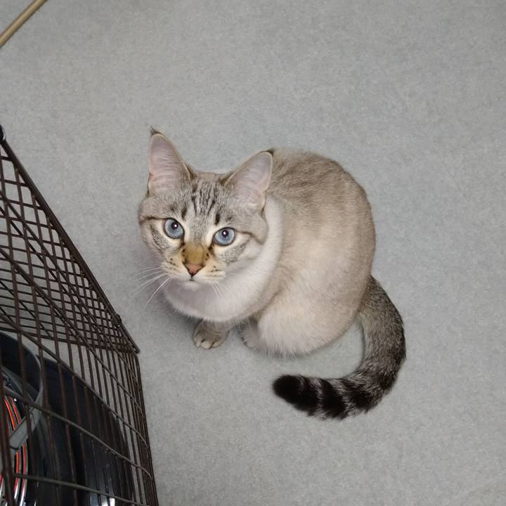 398b0372 a197 46b3 bdfd 78a1a5222449 1639919375074