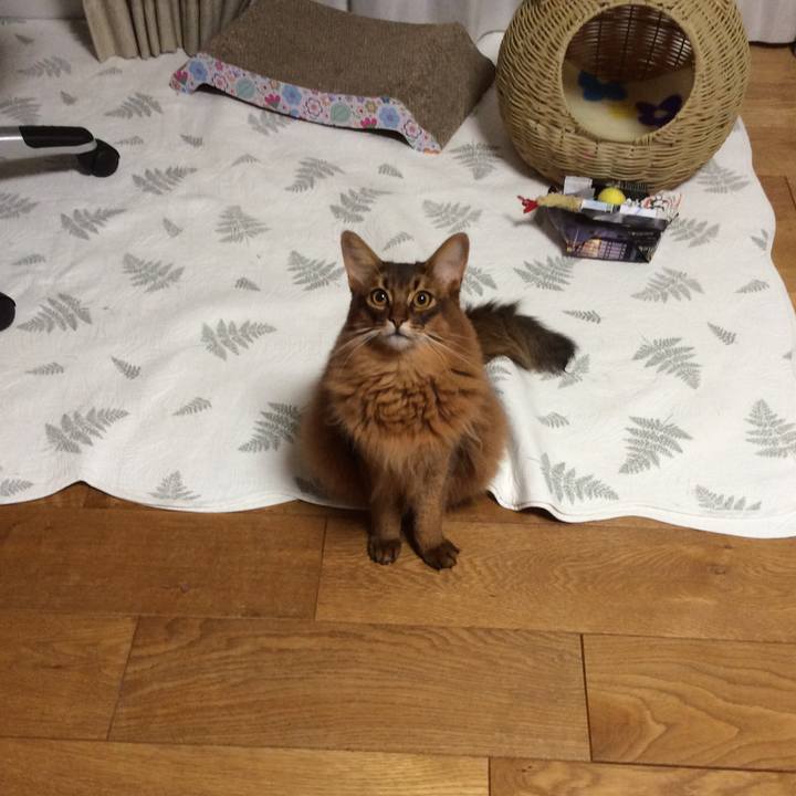 398b589f 4e55 4b80 99ab f9a9426c5dab 1606258389883