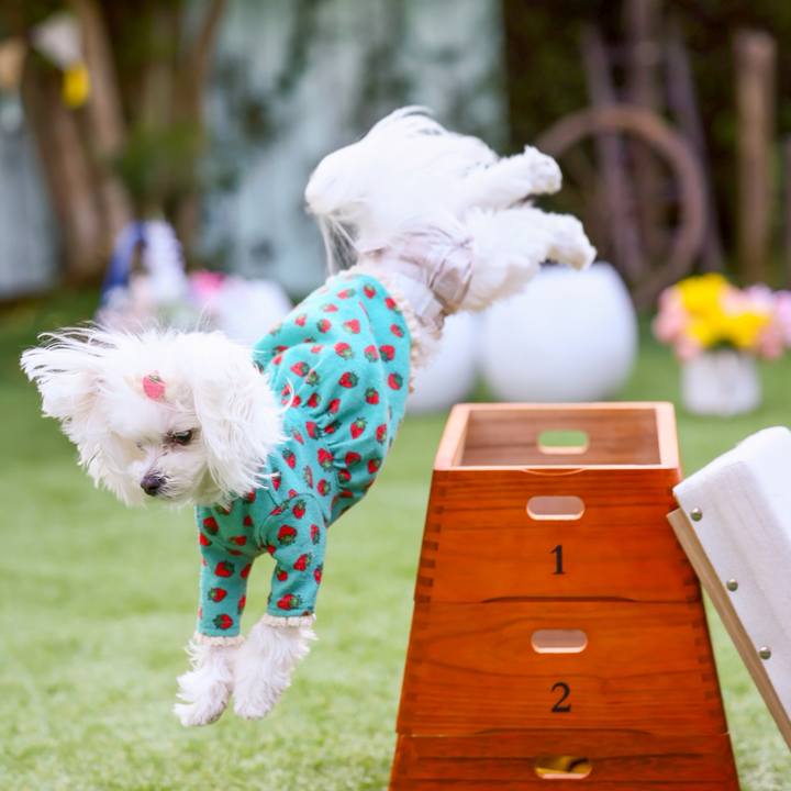 398b679e 98d5 4935 bff2 55a377e02372 1745366869730