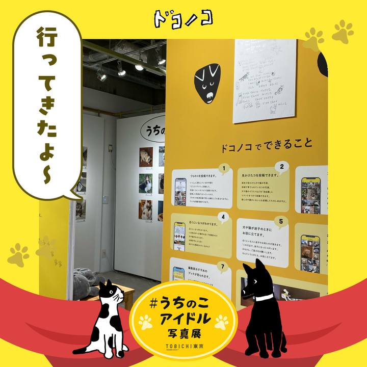 398b767d 0b19 4cda 9662 410fdbaa314f 1761148171169