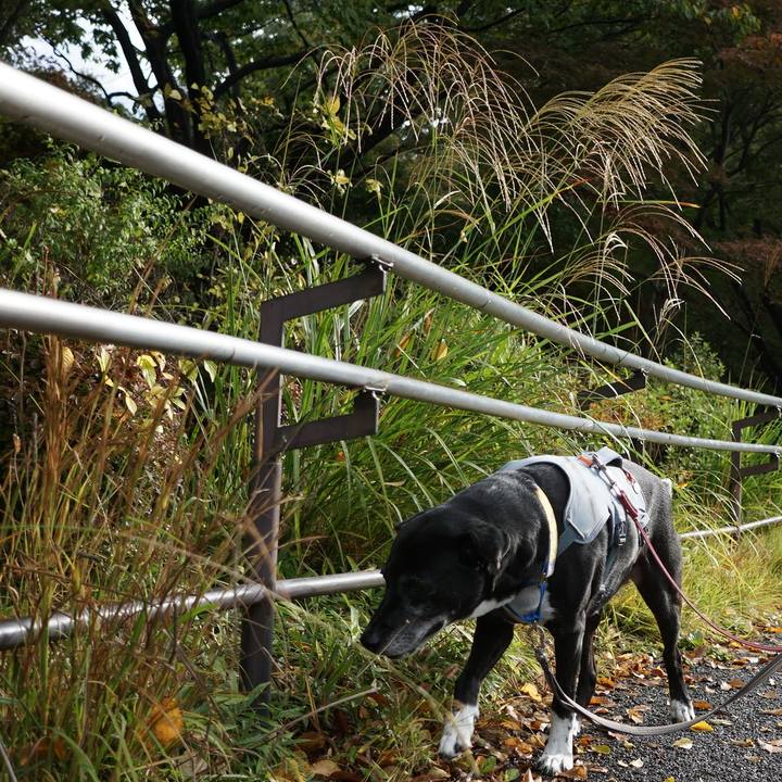 398ba3b0 0fe9 4fe9 8432 a82bd1d38677 1761525772060