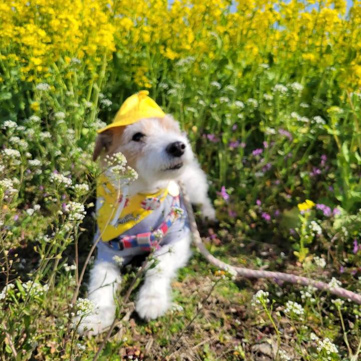 398bc6de 700a 4f10 81fe b73bc7889e6f 1772334076491