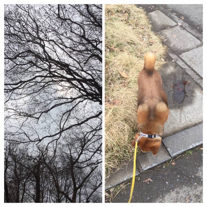 398be0e1 0300 4e13 95b6 7fd59c3a6443 1551913911164