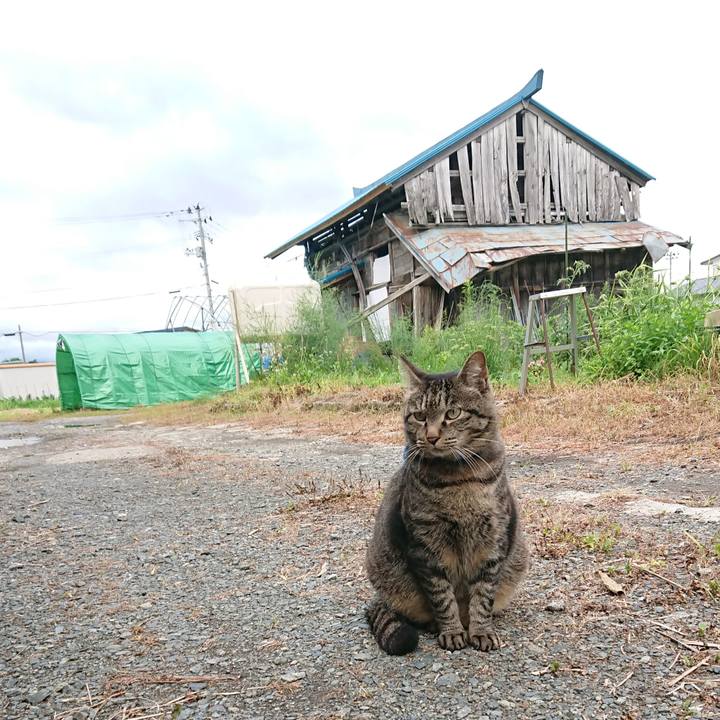 398c09b0 0e20 4ef4 8c55 d89bb5e9e8cf 1657702862728