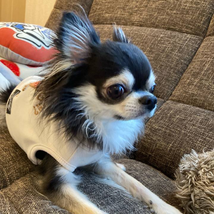 398c2aa2 af0b 41cb 84e7 0aa1c51ced34 1709450433376