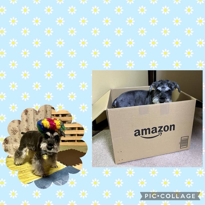 398c95e9 153e 4721 ae55 6e813455036f 1731113748040