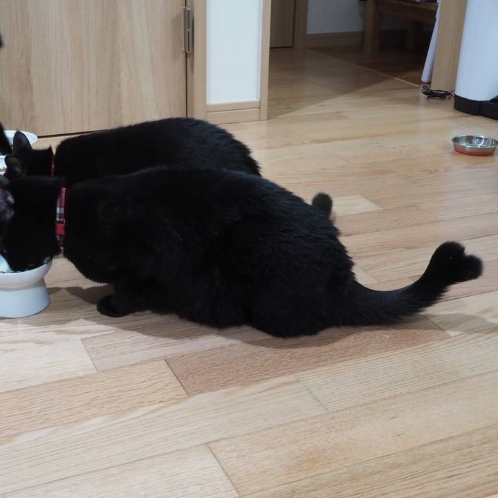 398c97a4 005f 4dcc 8b08 92876a2ad630 1541114599312