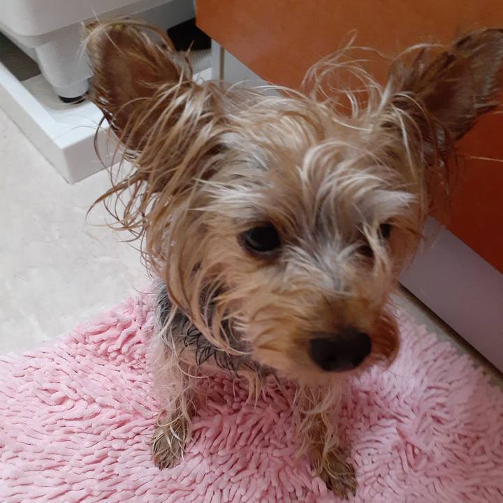 398d1800 fa8a 4831 a518 aa68cb6b7064 1625268747688