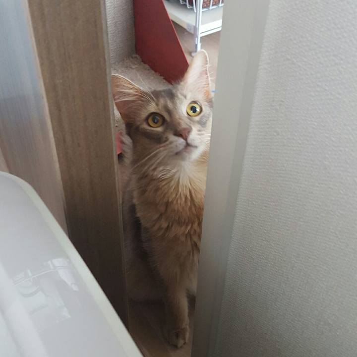 398d3ea6 d216 45d4 b0f4 13e74c2f765b 1530428793987