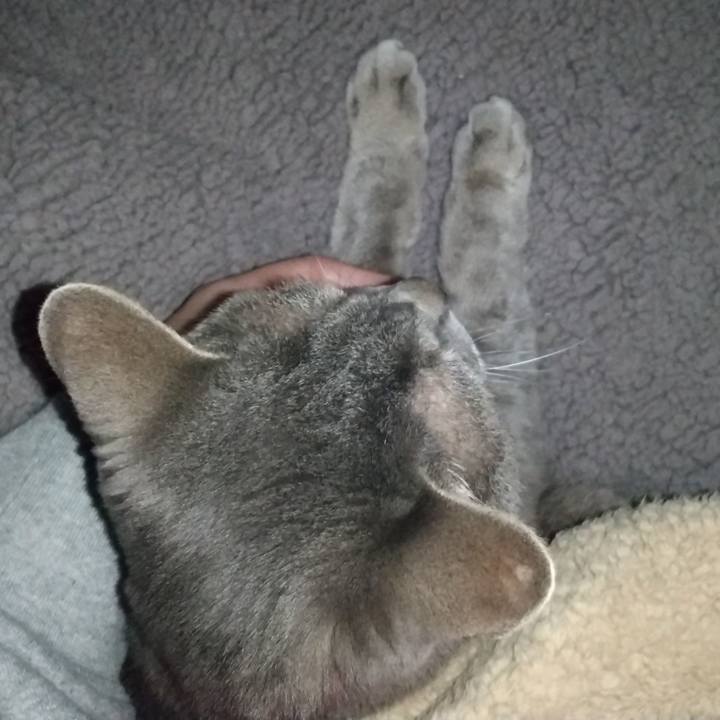 398d4299 5296 450c b2eb febf558a716b 1681591833711