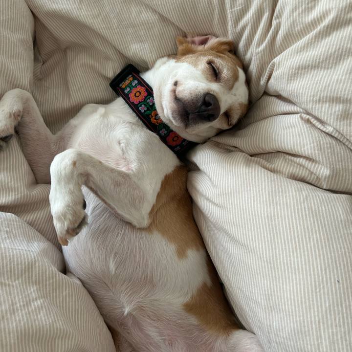 398d48f9 1941 4194 b626 0eeeac9ed226 1722836147778