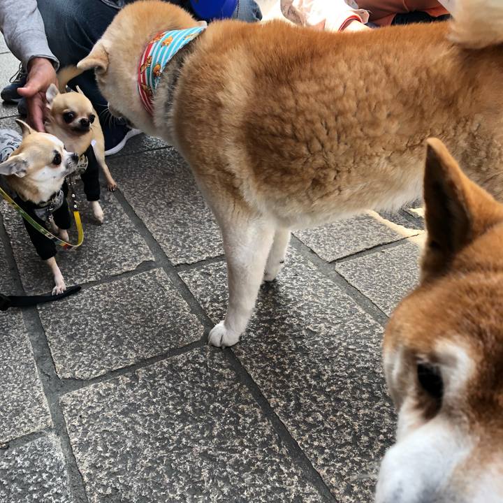 398d9723 9fc9 4f24 ba25 2884e7cc8dad 1554685357689