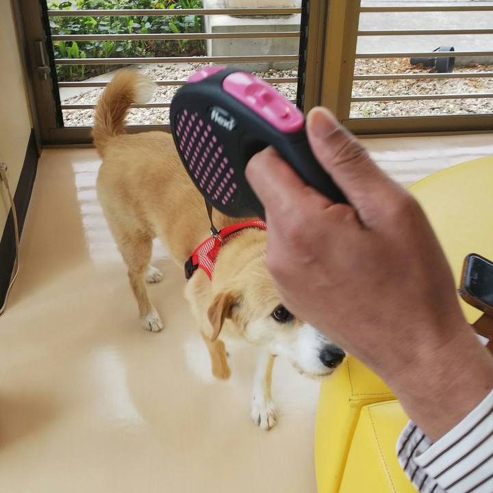 398da135 e565 4c96 9ee8 ce5cc546e110 1523157640618