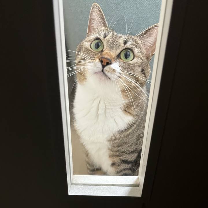 398dd137 53f5 4591 bb45 9930ca66fc99 1701957393801