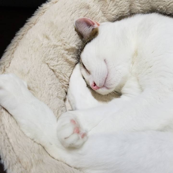 398e084e 4efa 44d5 8596 671419f7b0e9 1585475781395