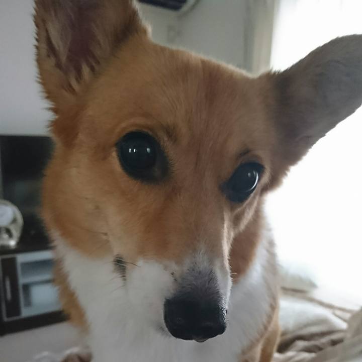 398e31fa ed02 4bb6 a764 36f2592b3a8c 1543641710408