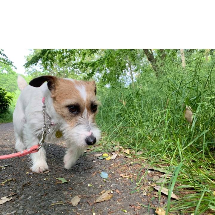 398e5647 f269 4ce7 8ecb 6d2bf671118d 1589355897801