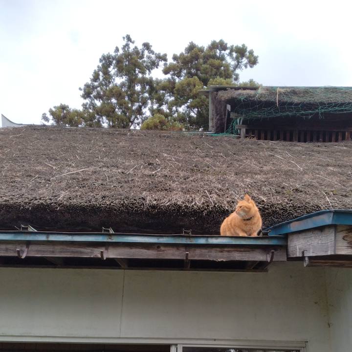 398eab59 8611 4e9d ad12 570f5cd00c8b 1699773606262