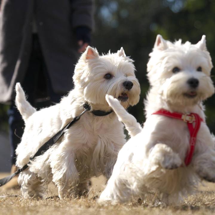 398ecd7a a654 46a8 952e bceb3bbed4b1 1514555162820