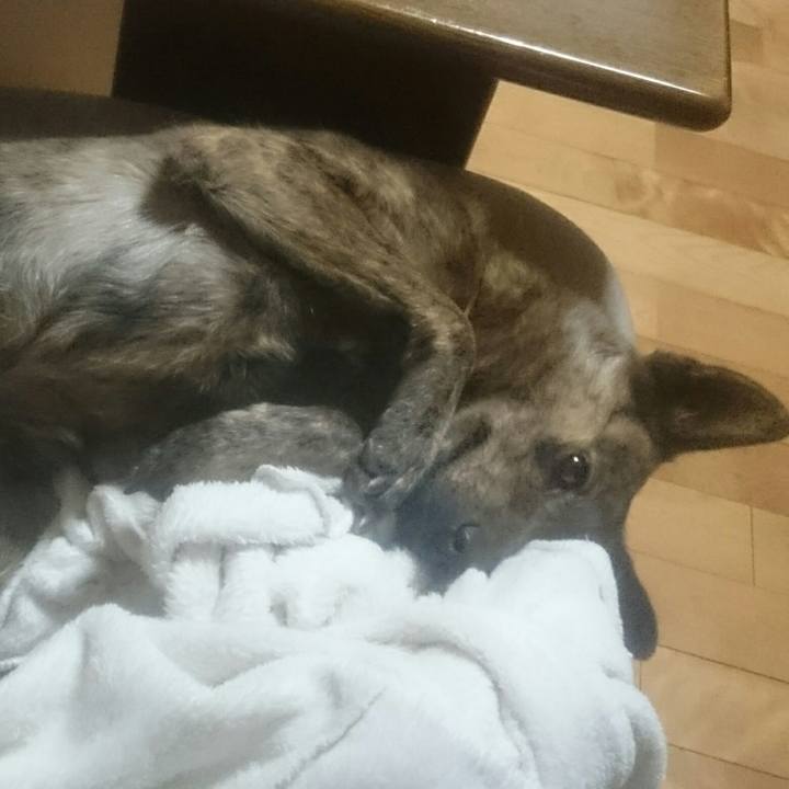 398eed2f ce8a 4852 b856 f9ec9f38b94a 1519819347853