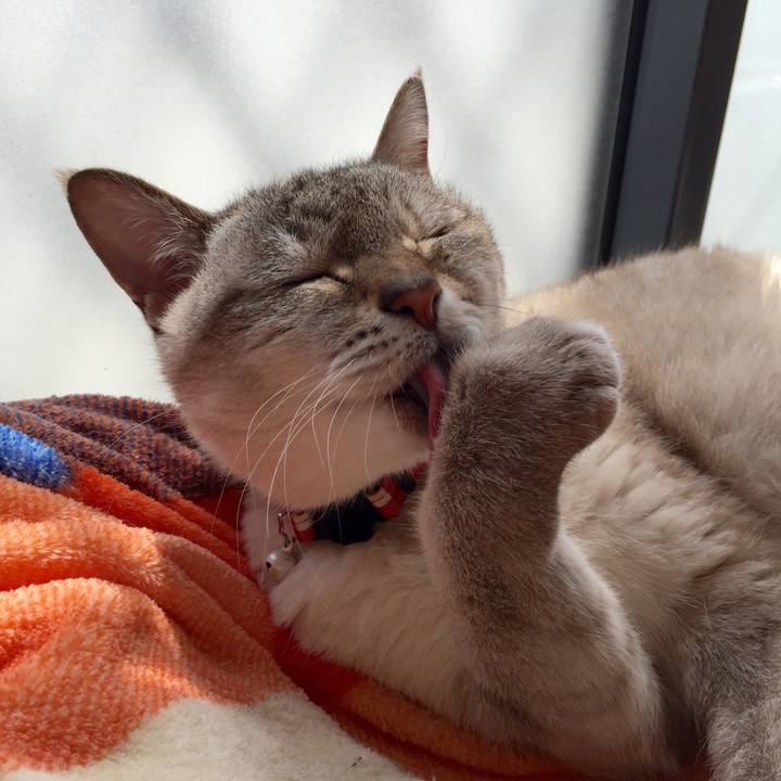 398f2e01 19bf 4c05 99b7 e0d648064f99 1524715728571