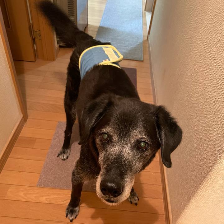 398f30b1 fb69 4194 9220 a4685d2cfe37 1762077767030