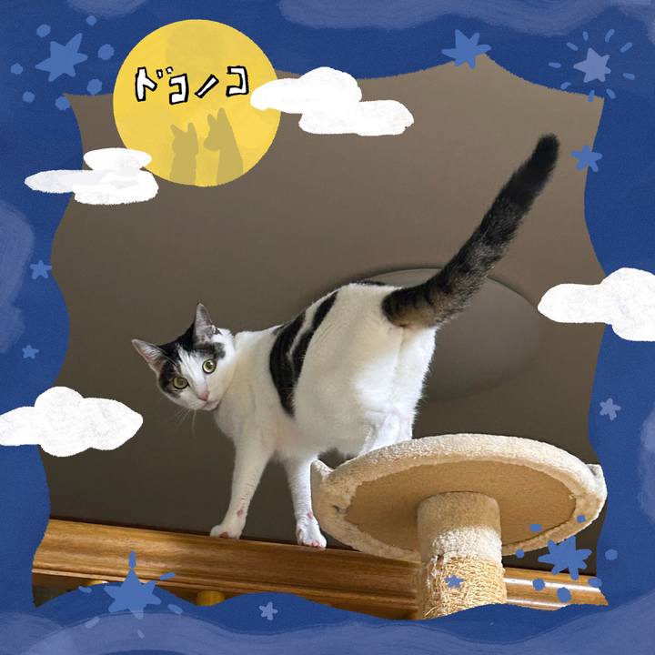 398f9b77 cef1 4a8f 8d66 522b104fe8bc 1727091351290