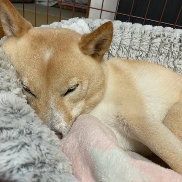 398fb312 661c 4c5b be7d 9de863ef2798 1639139959455