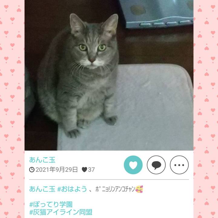 398ff47c 5153 449d b4b4 7ef6f8a932d9 1696047520706