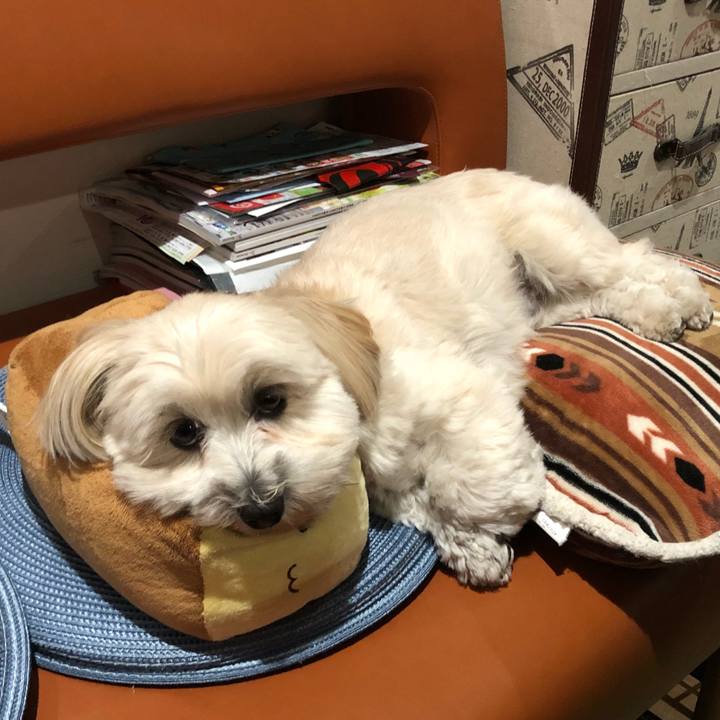 399013c7 d6a3 4ec6 a659 46ad9966a72f 1510580303035