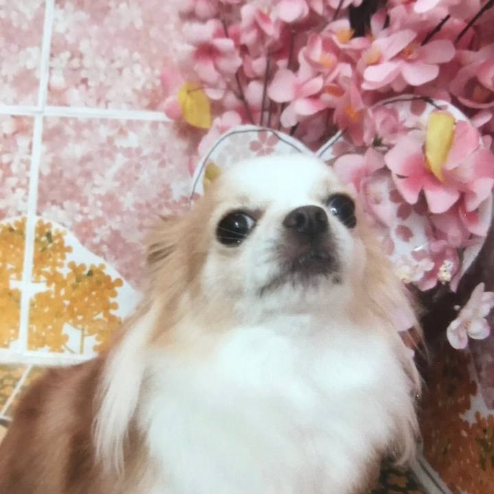 39905c30 8bb7 48c9 b5ad d38c3fe1d58e 1570147046868