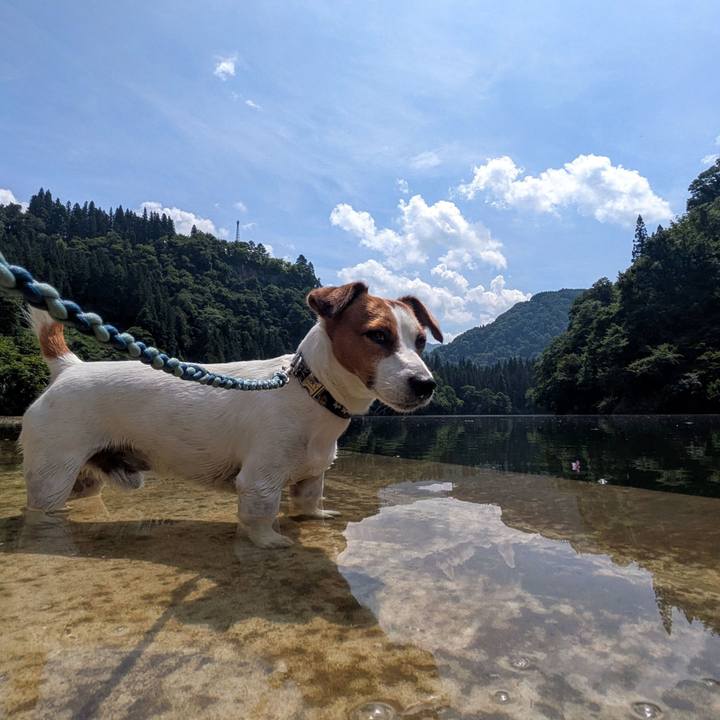 3990b61b deee 4c40 a16e 2490a4022110 1755868137757