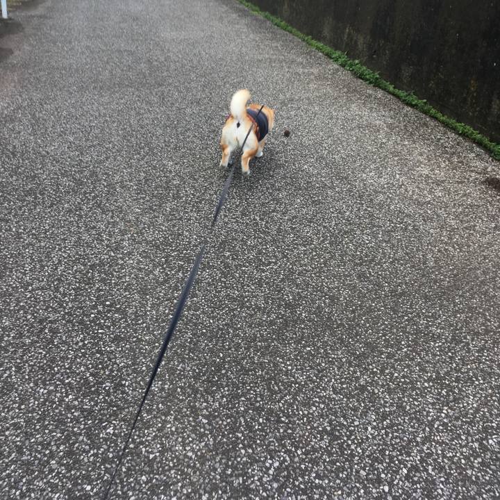 3990bc56 64be 4a00 adf6 db513bd28a9f 1542682359407