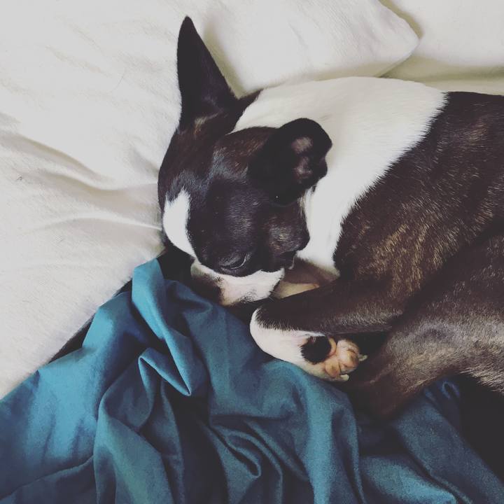 3990ce61 c125 476a 9987 4c93ecb04df5 1533081824327