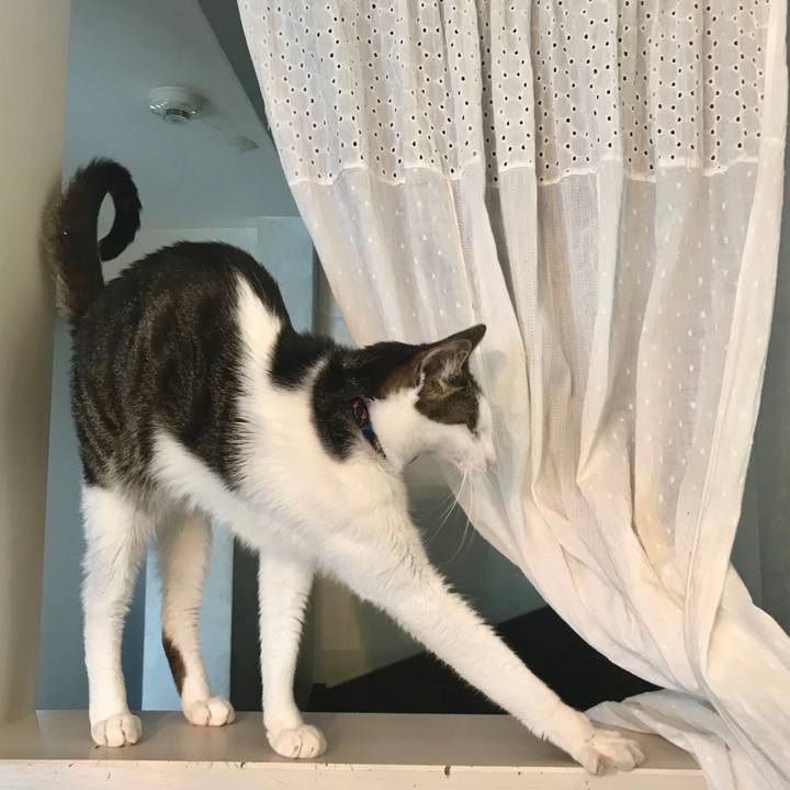 3990d222 c50c 4219 a1ca 7d7f05045fe4 1582641904813