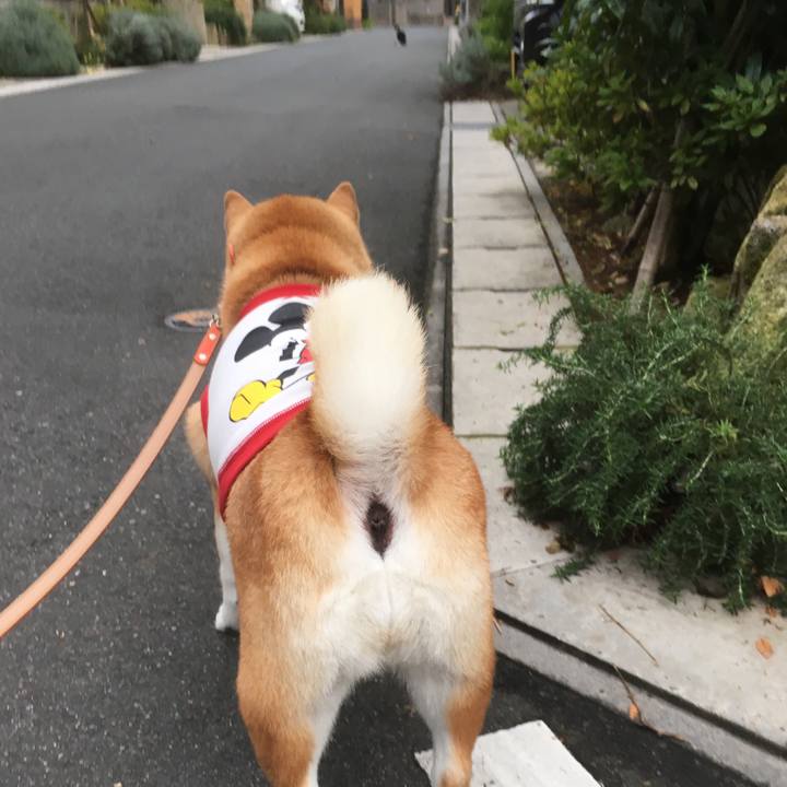 3990d4f3 3a1f 4ffd a02b ade17207de97 1613222939380