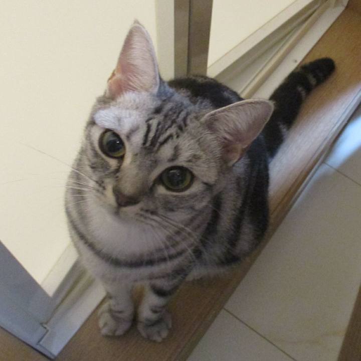 3990da52 be45 49fb 802a daa75e9f8015 1562844770281