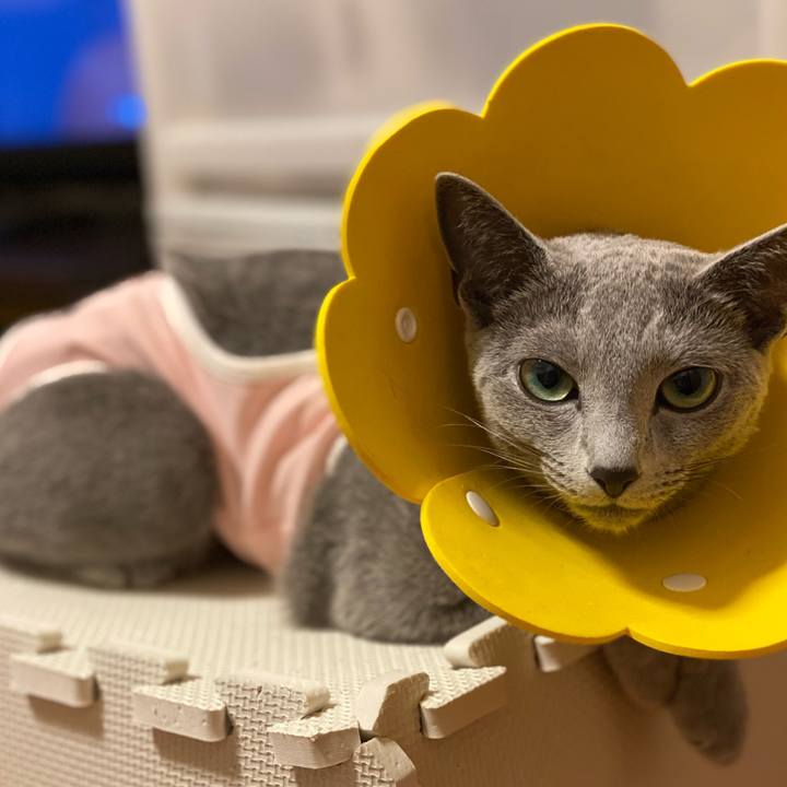 39910f5e f04a 4487 a5cd 3d1ab15b5d54 1630921929397