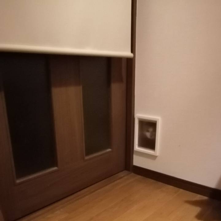 39913ce5 23ff 4478 8cdd a1599c453544 1596699243040