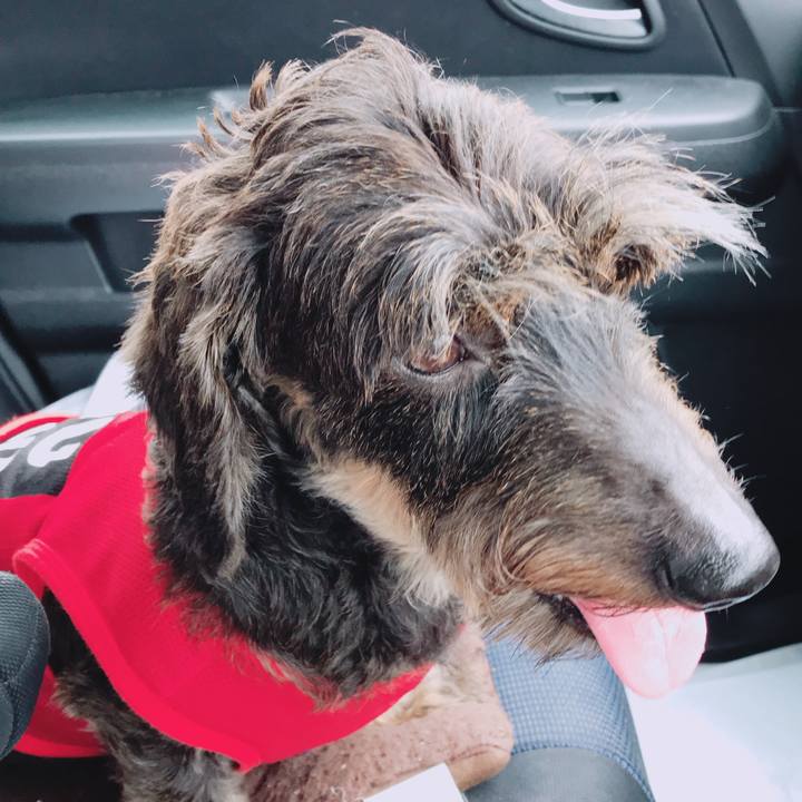 399186c1 264a 4bda 90b7 b2c91c8e74f3 1537865659443