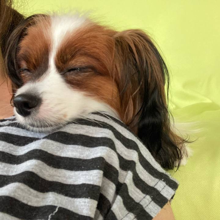 39918cc1 4212 4cc3 8d61 b319c88eade4 1631255212240