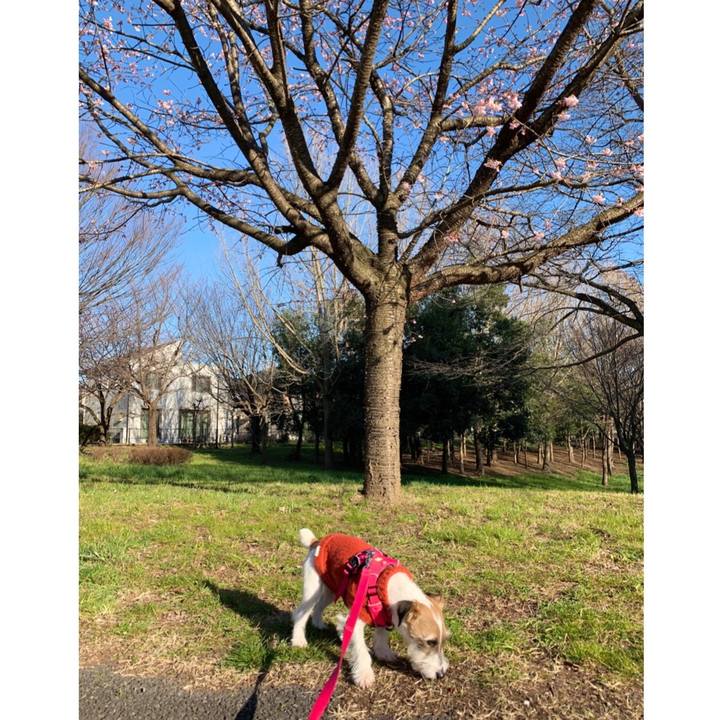 39919eca 4245 4dc3 9aae 893969ad8bc6 1583486230957